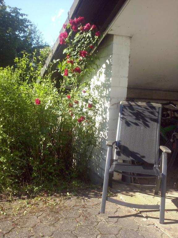 Ferienwohnung Daehne Allagen Exteriér fotografie